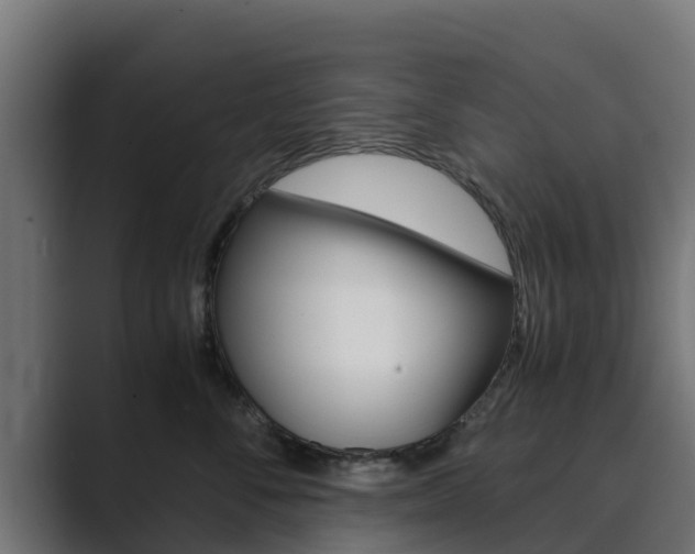 X0000089890716200706281110
