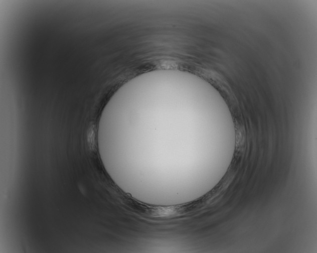 X0000089890717200706281110