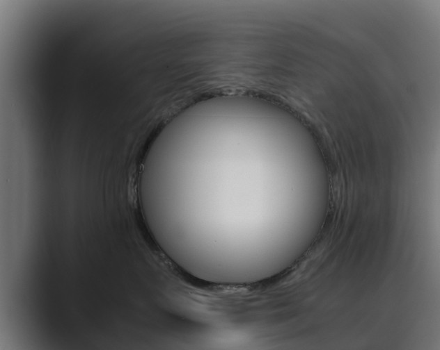 X0000089890719200706281110