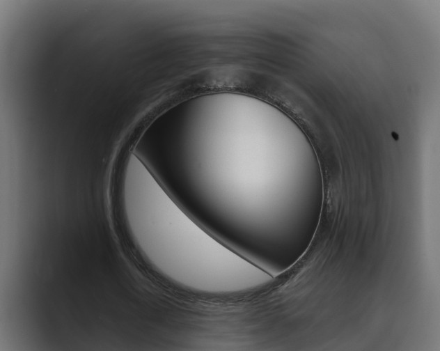 X0000089890722200706281110