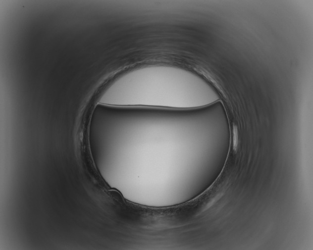 X0000089890723200706281110