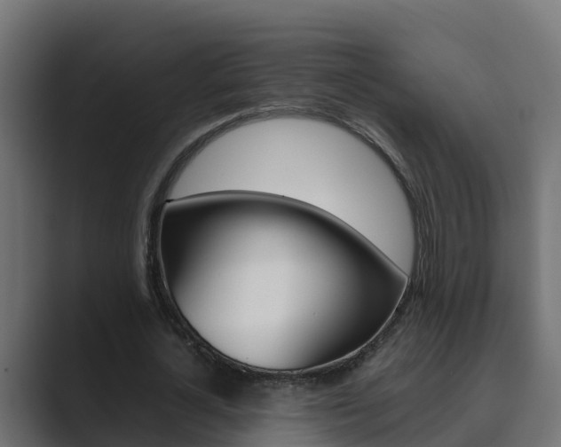 X0000089890724200706281110