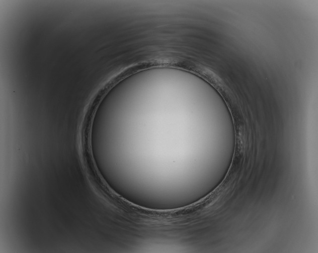 X0000089890726200706281110