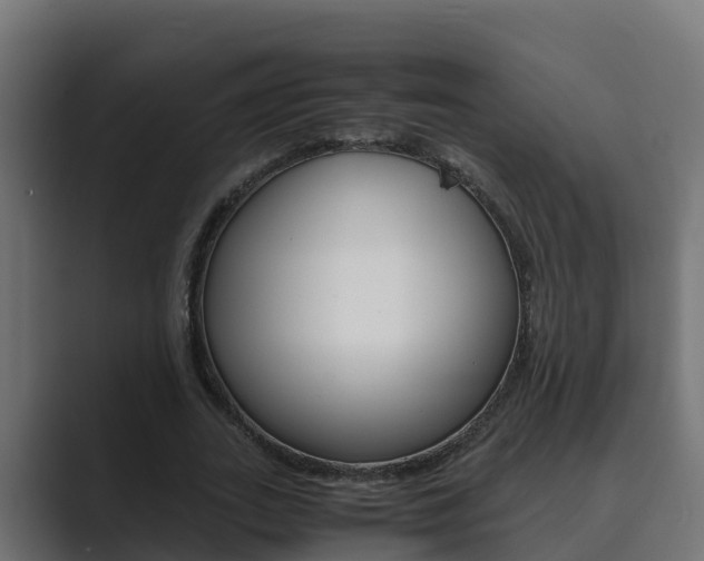X0000089890727200706281110