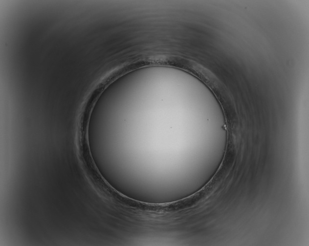 X0000089890728200706281110