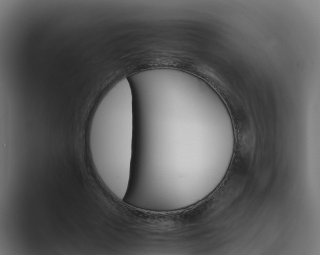 X0000089890729200706281110