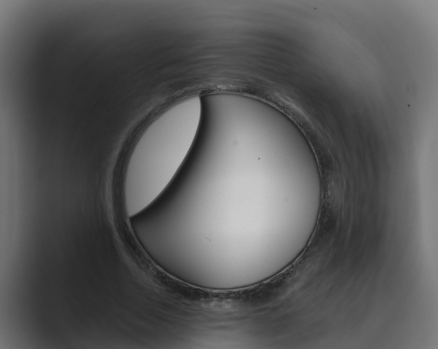 X0000089890730200706281110
