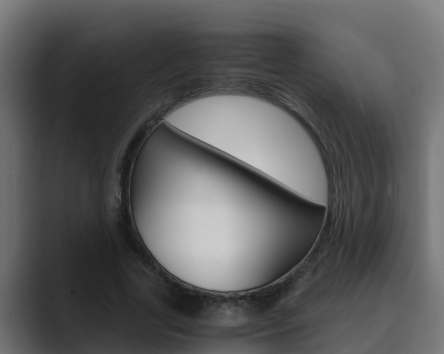 X0000089890731200706281110