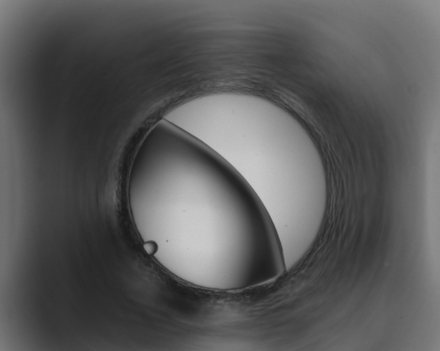 X0000089890732200706281110