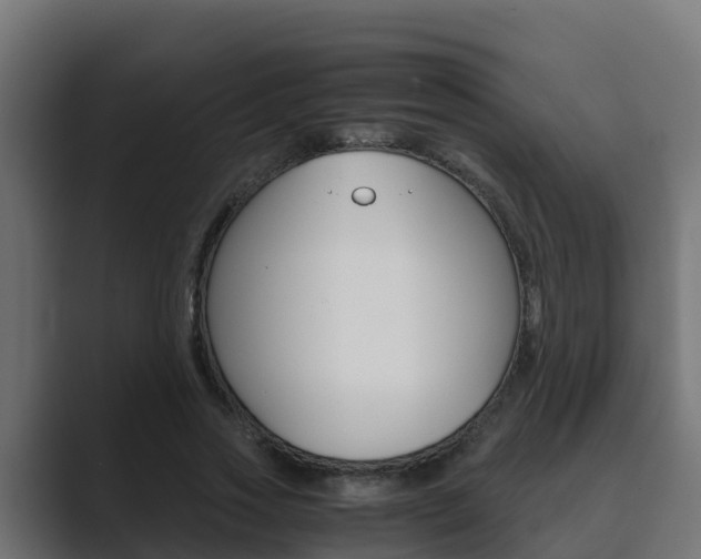 X0000089890733200706281110
