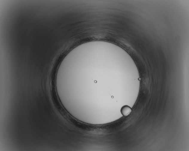 X0000089890734200706281110