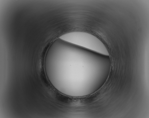 X0000089890740200706281110