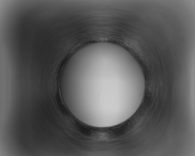 X0000089890743200706281110