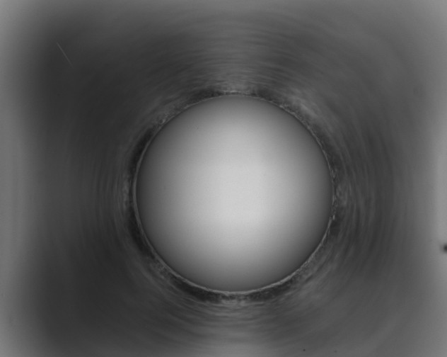 X0000089890744200706281110