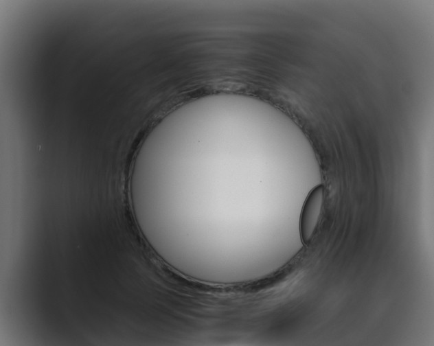 X0000089890745200706281110