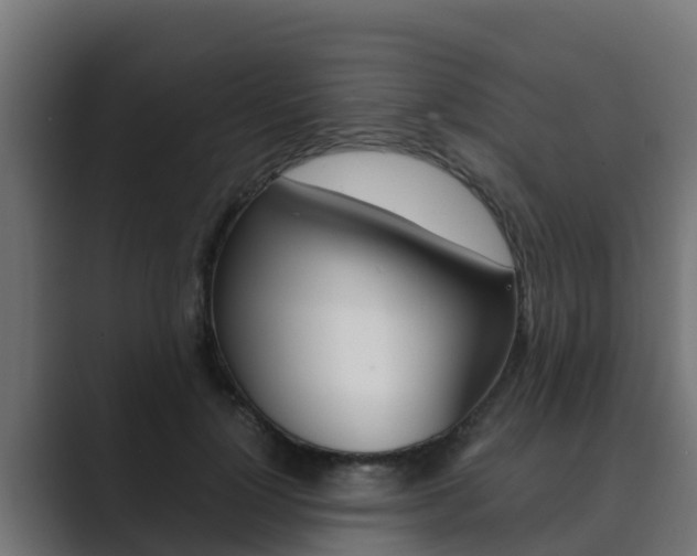 X0000089890748200706281110