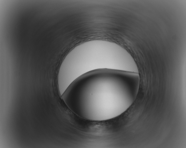 X0000089890750200706281110