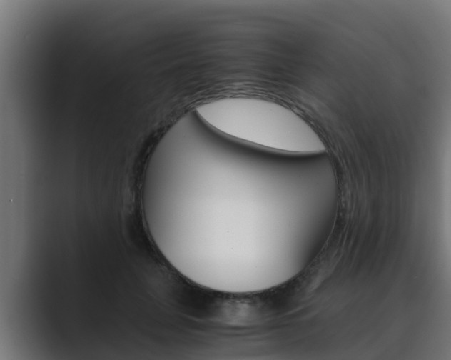 X0000089890751200706281110