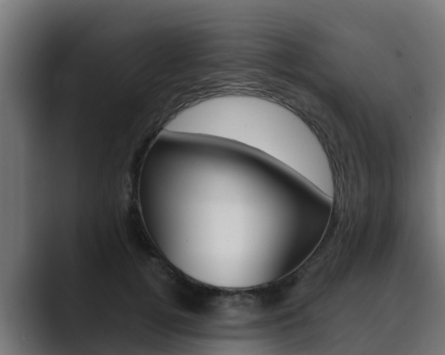 X0000089890752200706281110