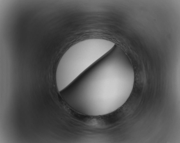 X0000089890755200706281110