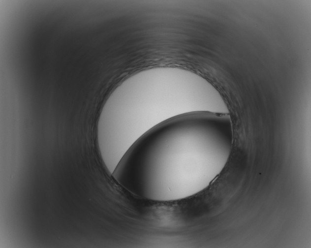 X0000089890756200706281110