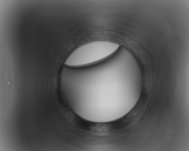 X0000089890758200706281110