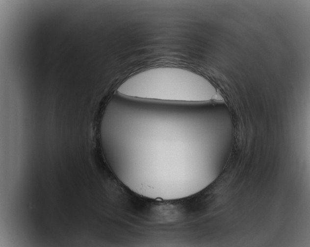 X0000089890759200706281110