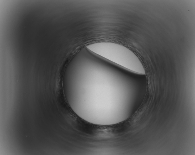 X0000089890760200706281110