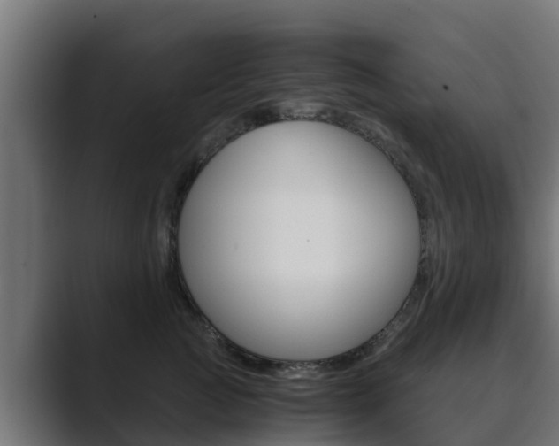 X0000089890761200706281110