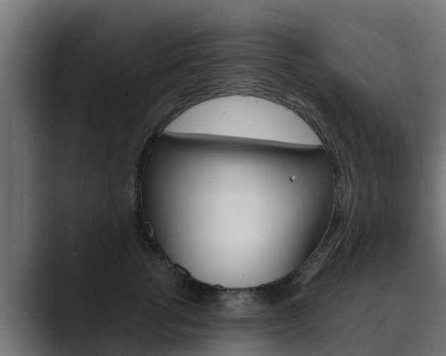 X0000089890762200706281110
