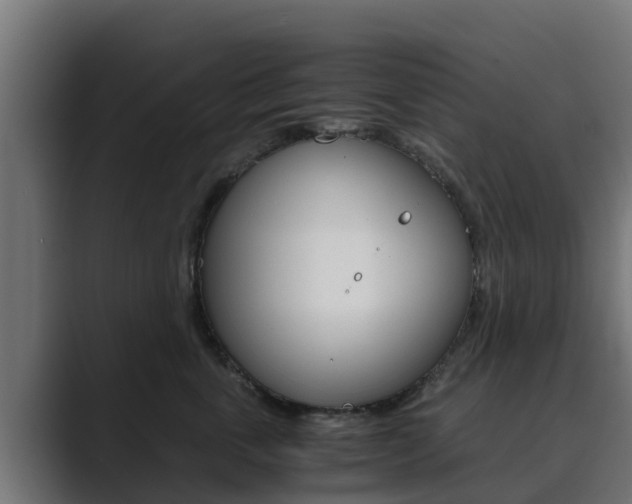 X0000089890763200706281110