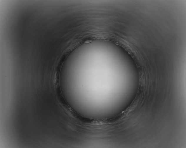X0000089890764200706281110