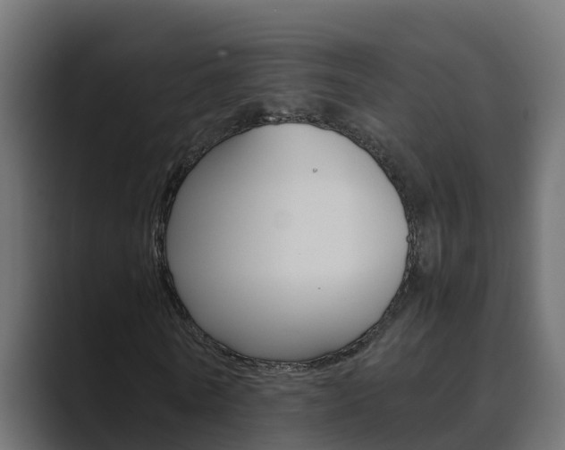X0000089890770200706281110