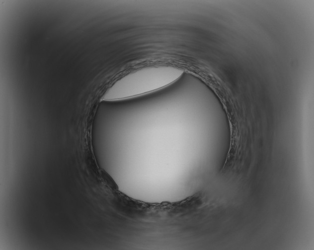 X0000089890773200706281110