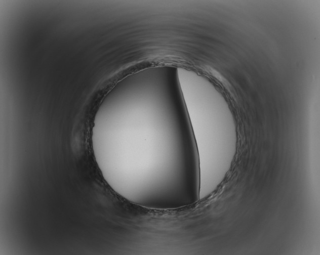 X0000089890775200706281110