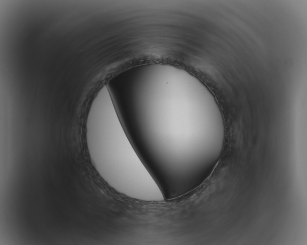X0000089890776200706281110