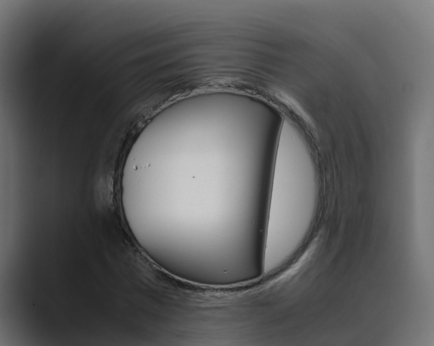 X0000089890777200706281110