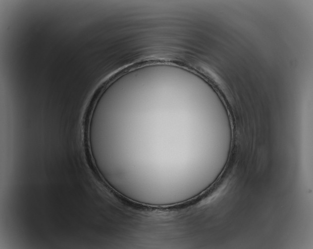 X0000089890779200706281110