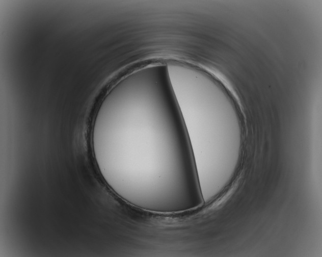 X0000089890783200706281109