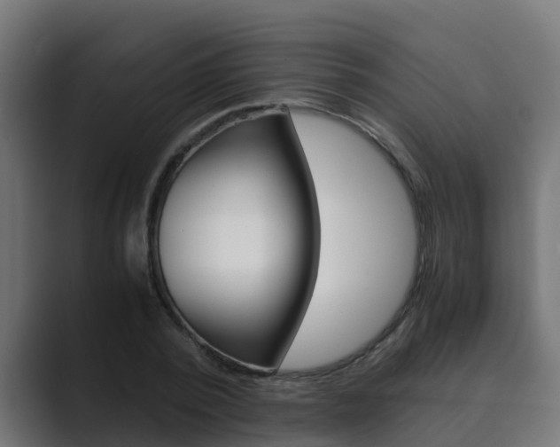 X0000089890784200706281109