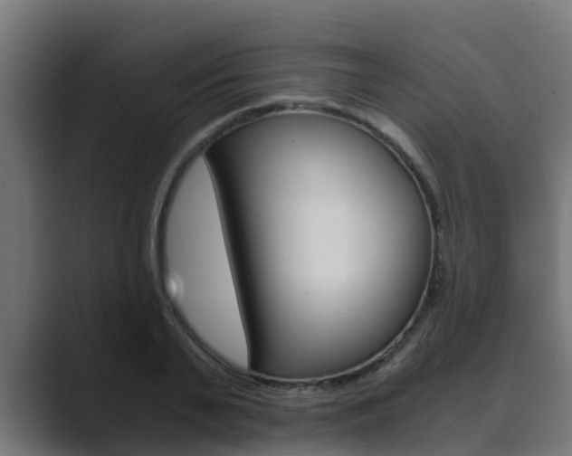 X0000089890791200706281109
