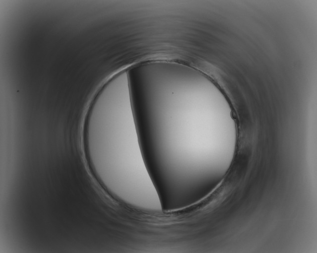 X0000089890795200706281109
