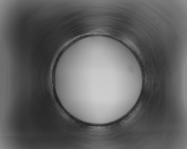 X0000089890800200706281109