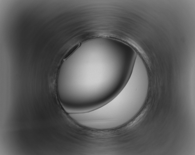 X0000089890801200706281109
