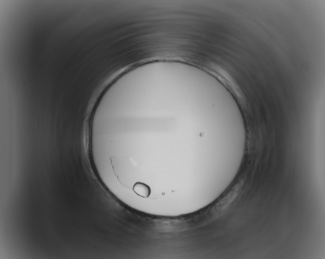 X0000089890804200706281109