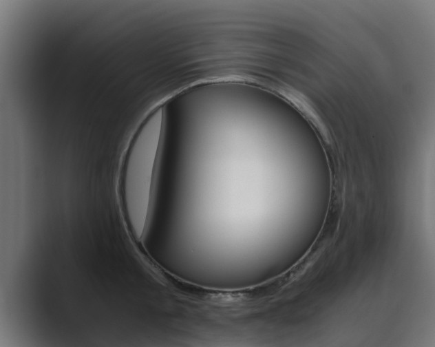 X0000089890805200706281109