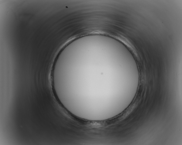 X0000089890806200706281109