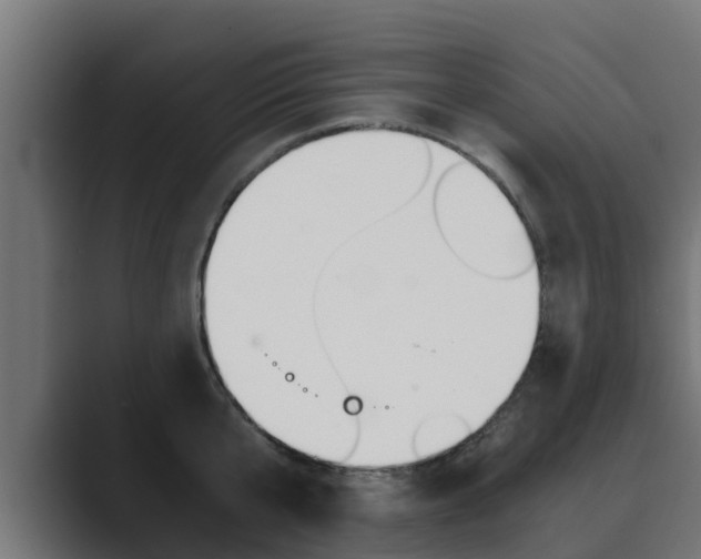 X0000089890807200706281109