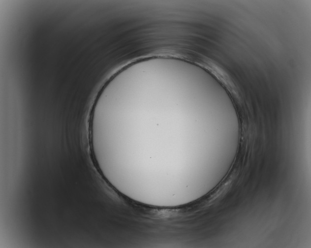 X0000089890808200706281109
