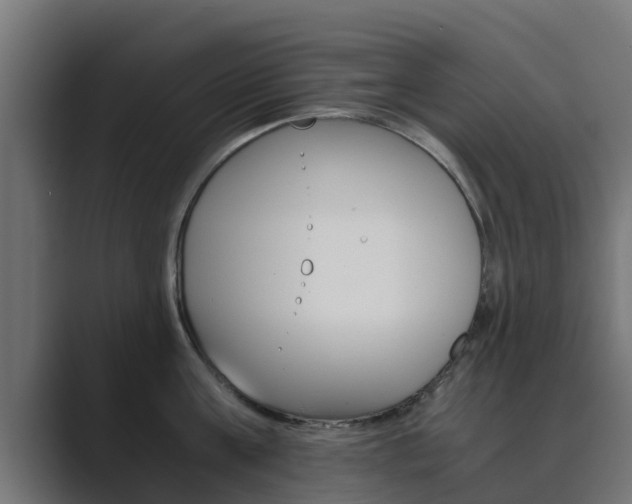 X0000089890811200706281109